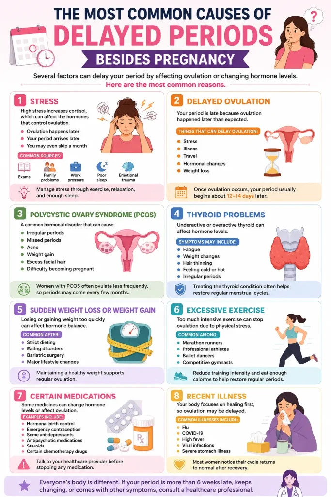 Infographic showing the 8 most common causes of delayed periods besides pregnancy, including stress, delayed ovulation, PCOS, thyroid problems, weight changes, excessive exercise, medications, and illness.