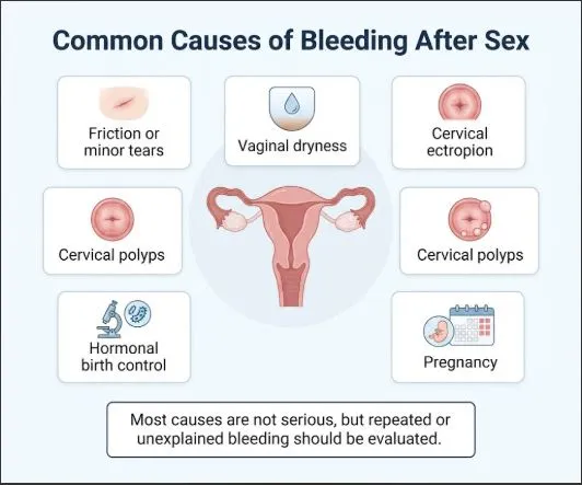 Common causes of bleeding after sex including dryness, friction, cervical changes, infections, birth control, and pregnancy